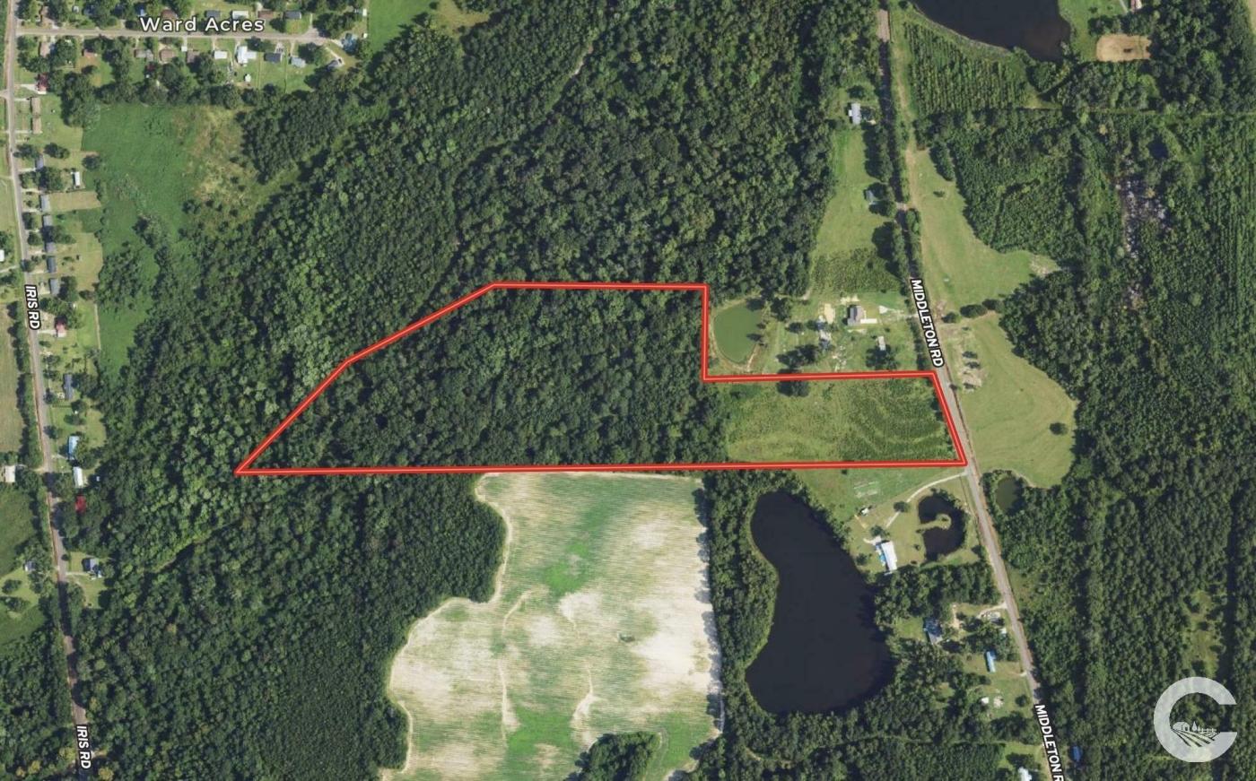 17+/- Acres for your Dream Home Site Alabama