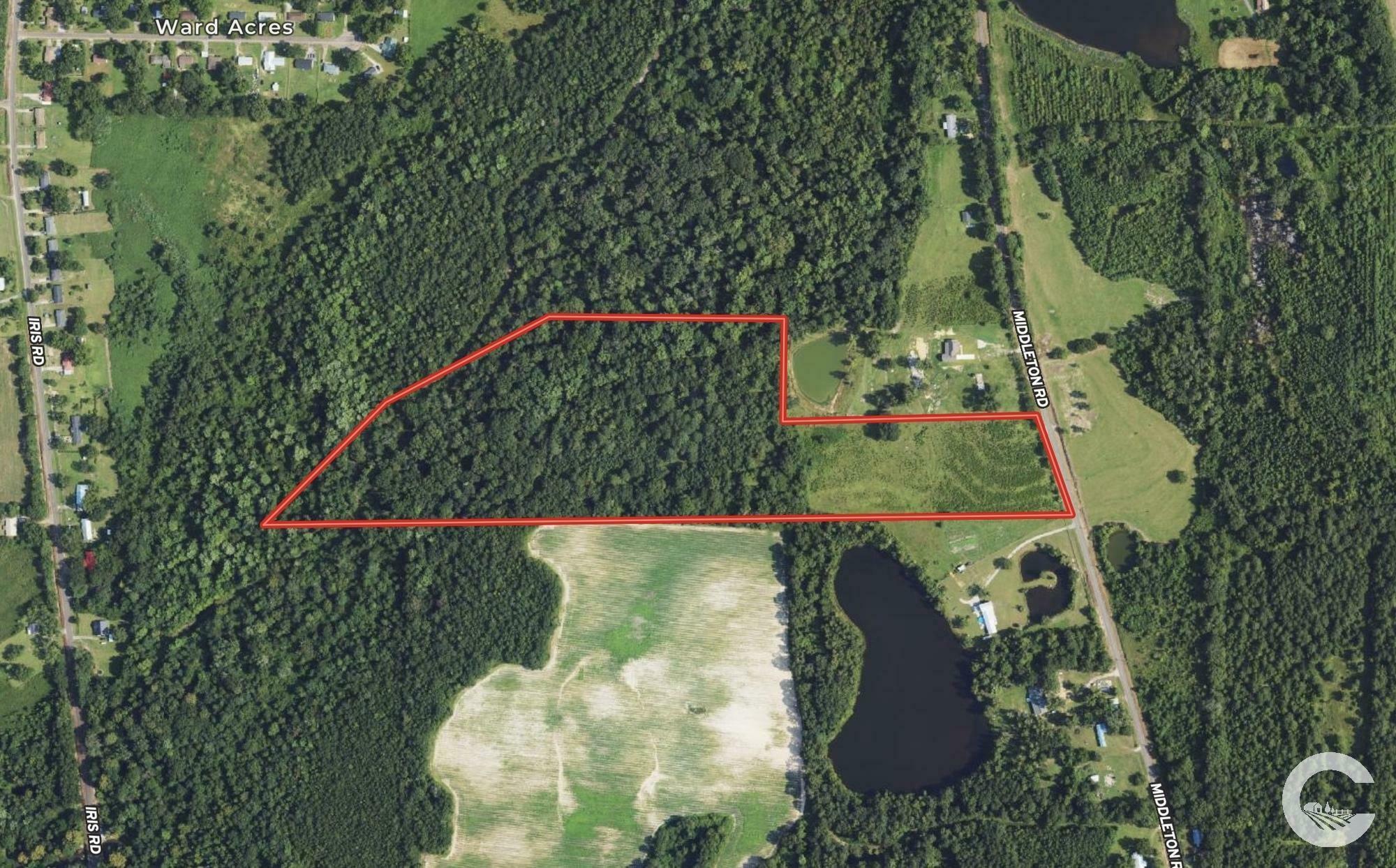 17+/- Acres for your Dream Home Site Alabama