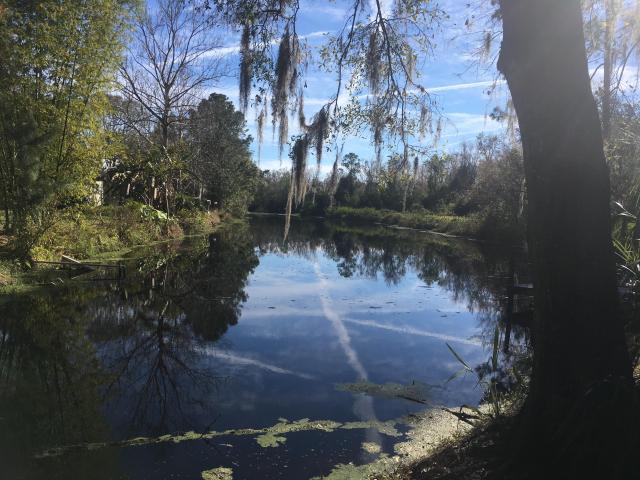 280 Waterfront acres in Tavares
