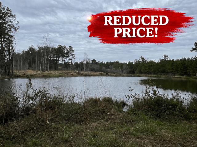 89 Acres in GA: Riverfront Cabin & Hunting