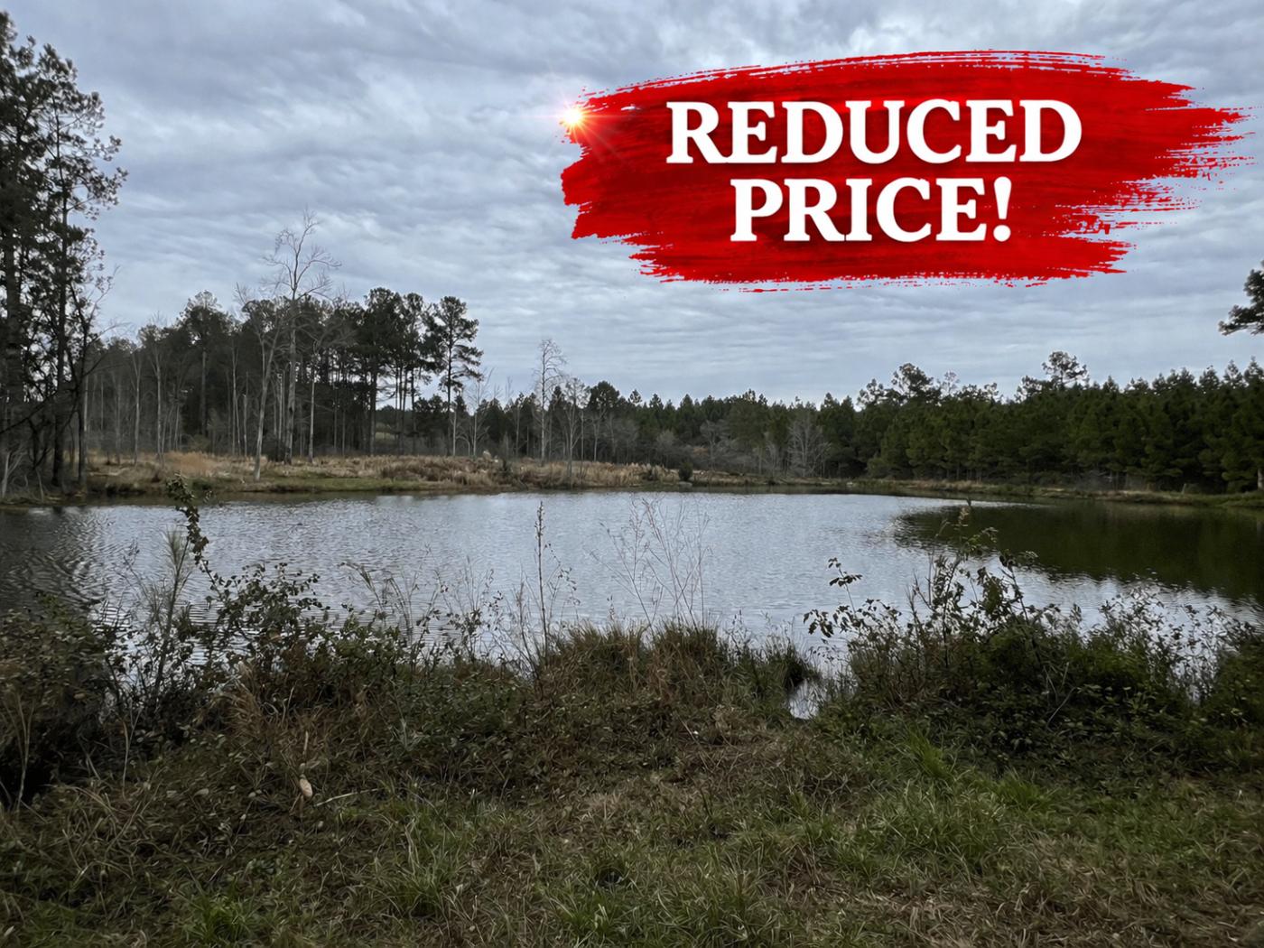 89 Acres in GA: Riverfront Cabin & Hunting