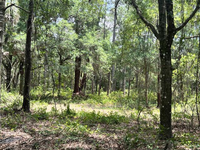 M-2 Industrial Land | Titusville +/- 4.46 AC