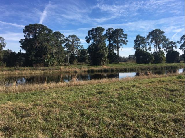 280 Acres Rural Land Close to Amenities