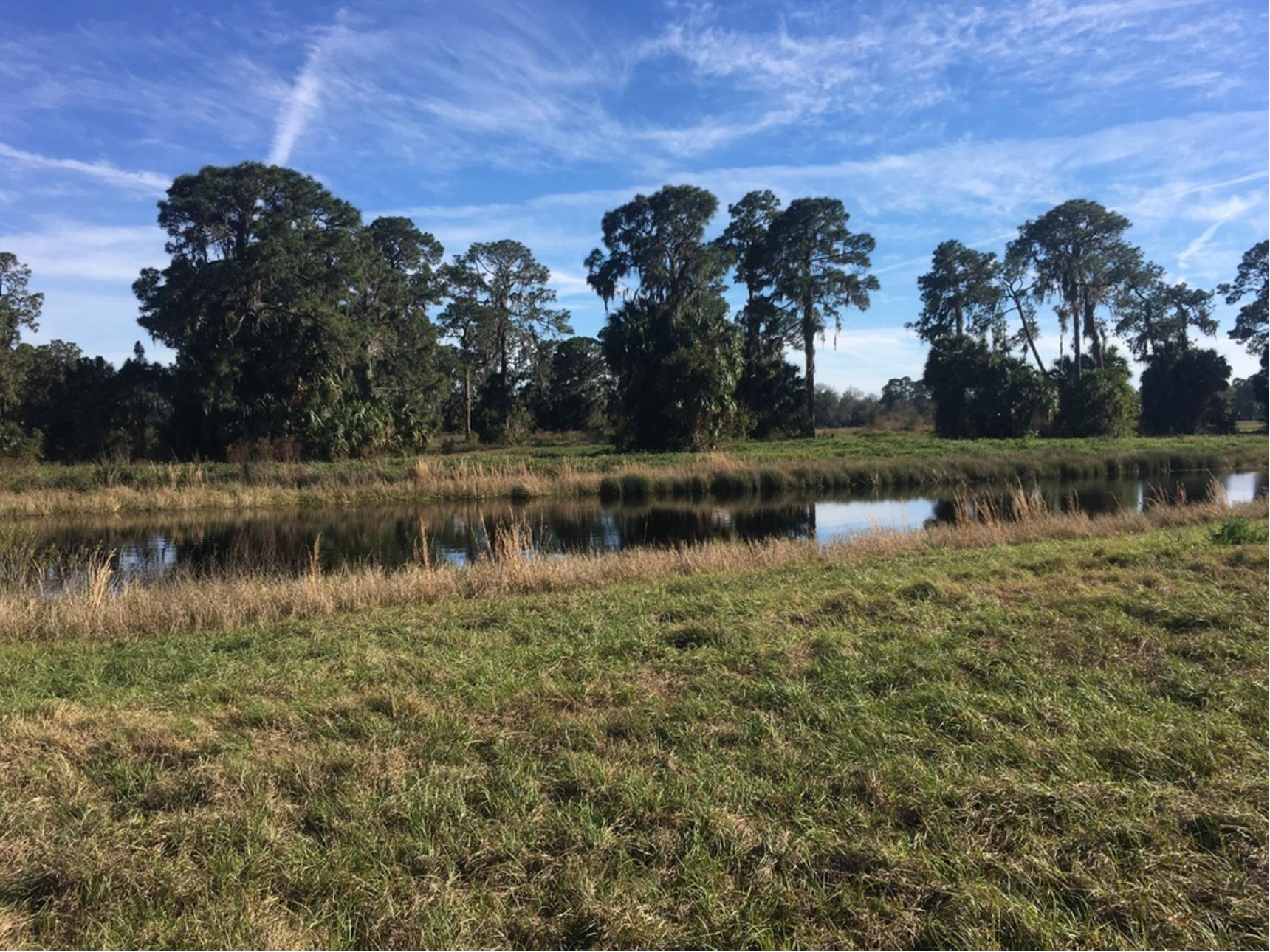 280 Acres Rural Land Close to Amenities