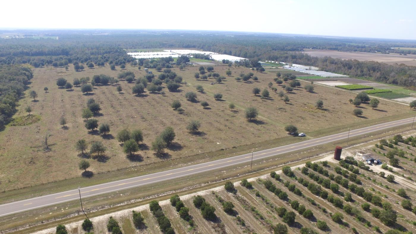 63.28+- ac of Pasture Land in Wimauma