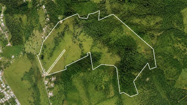 Land in Barrio Duque of 156 cuerdas $975K