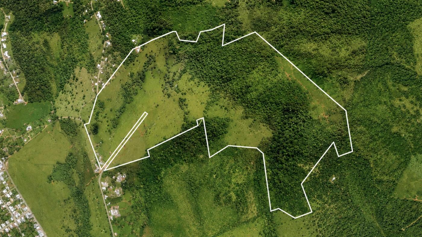Land in Barrio Duque of 156 cuerdas $975K