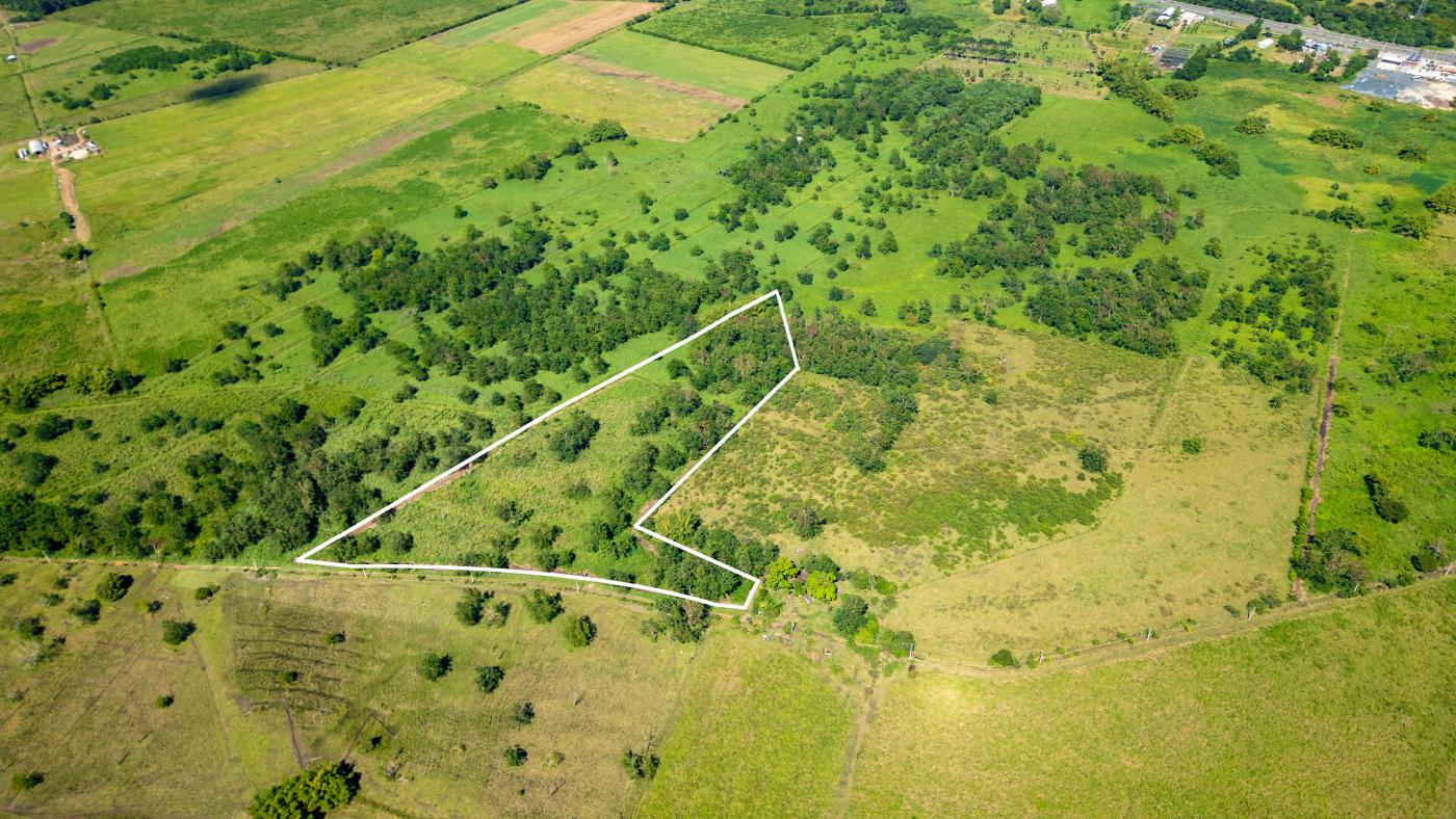 Land #379 in Hormigueros of 13.80 cuerdas