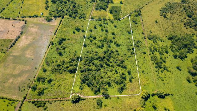 Land #725 in Bo. Benavente of 27.50 cuerdas