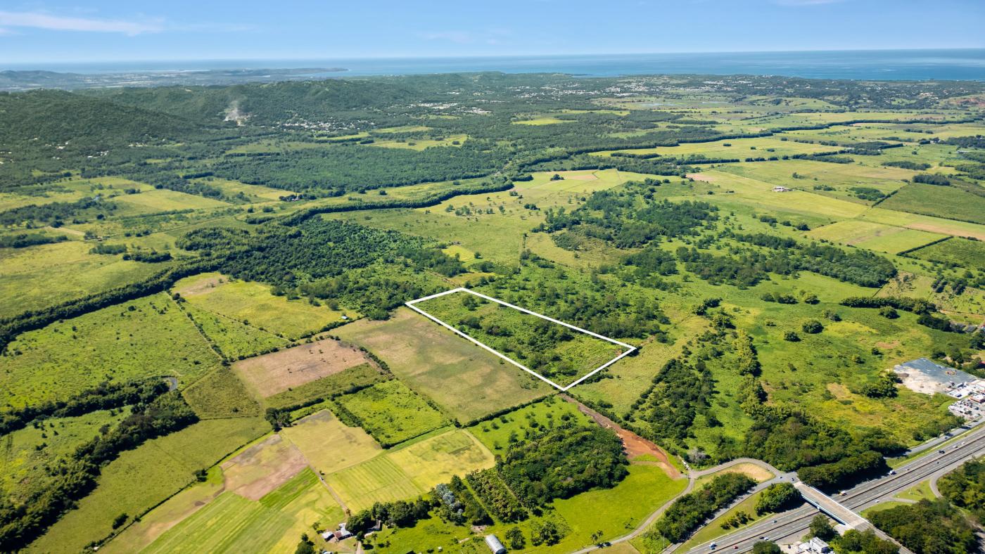 Land #630 in Bo. Benavente of 22 cuerdas