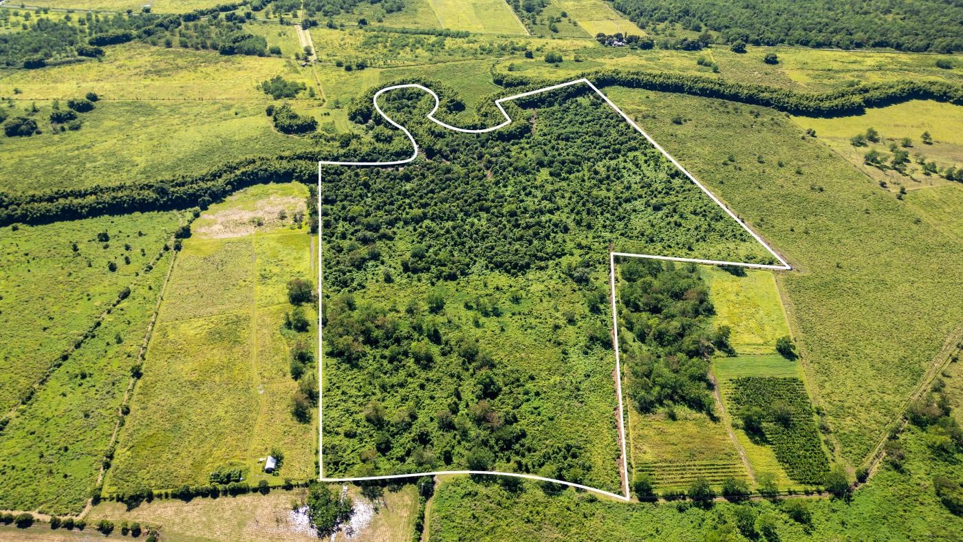 Land #255 in Bo. Benavente of 79.24 cuerdas