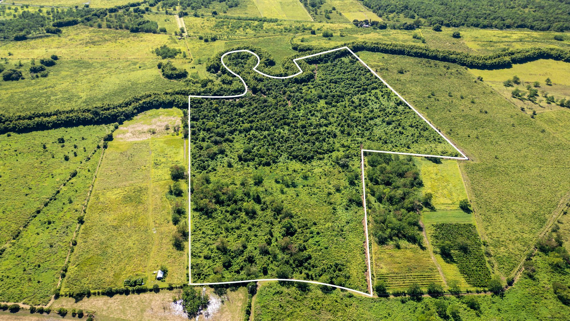 Land #255 in Bo. Benavente of 79.24 cuerdas