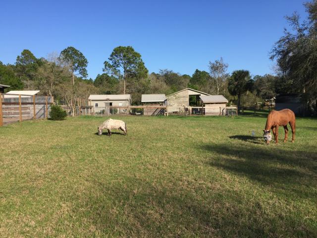 Sleepy Hollow Ranch