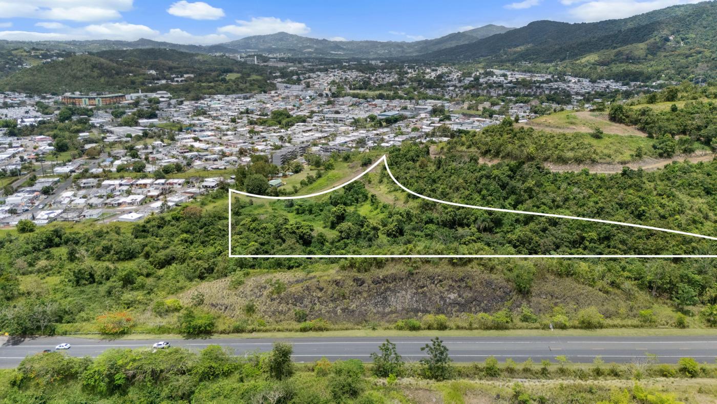 Land in Valle Alto of 6.46 cuerdas