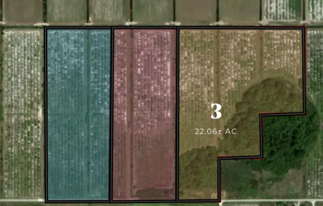 Rural Estate Homesites (ONE - 22.06+/- Acres)