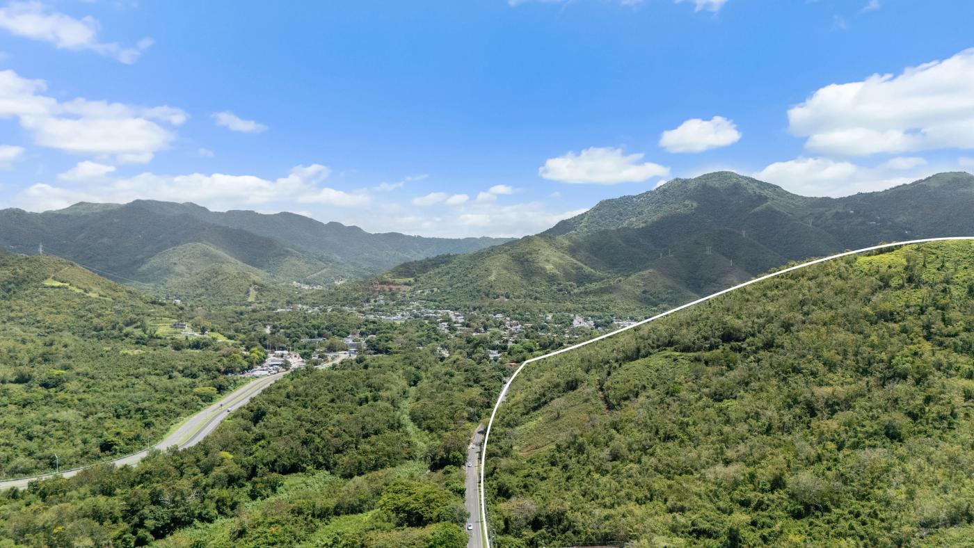 Land in Bo. Caimital of 55.95 cuerda
