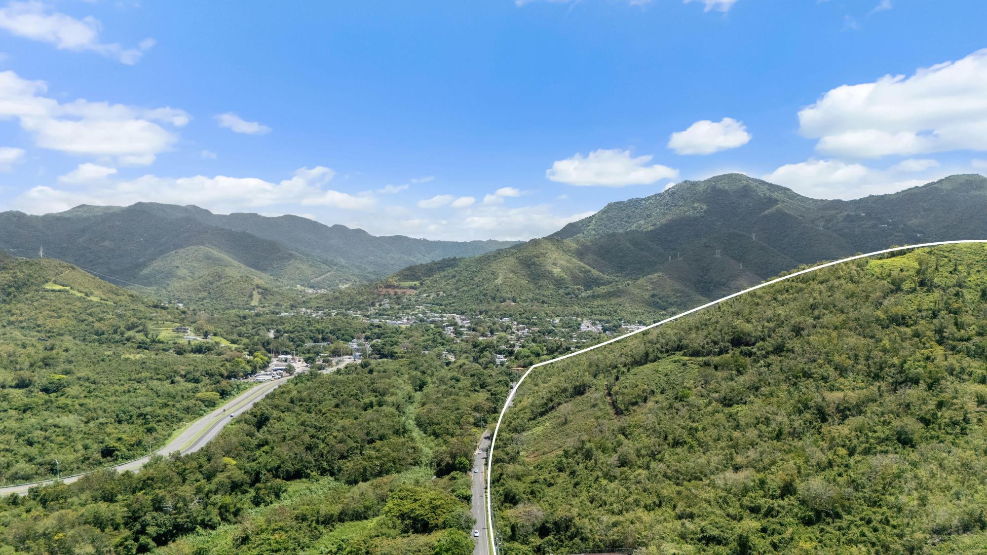 Land in Bo. Caimital of 55.95 cuerda
