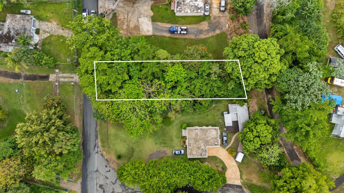Land in Bo. Rio Arriba Saliente 0.26 Acres