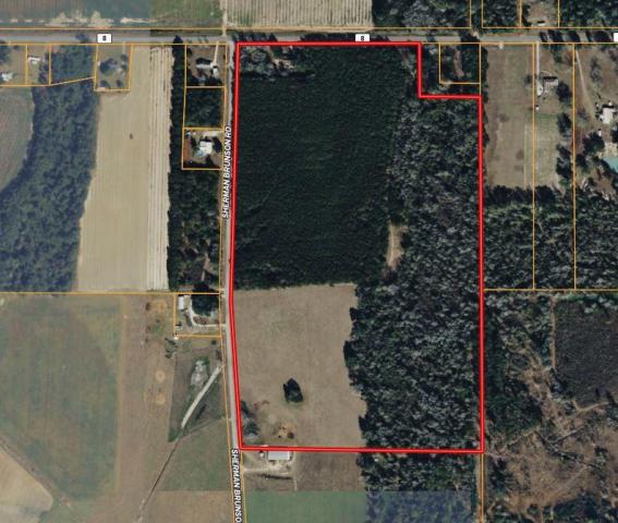 15 Acres in Pansey, AL  Pines & Privicy