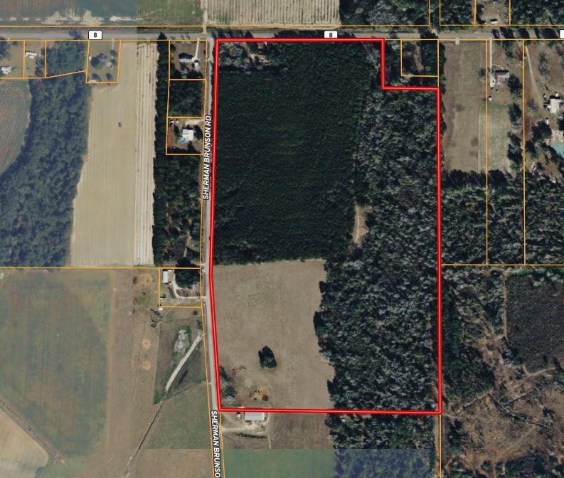 15 Acres in Pansey, AL  Pines & Privicy
