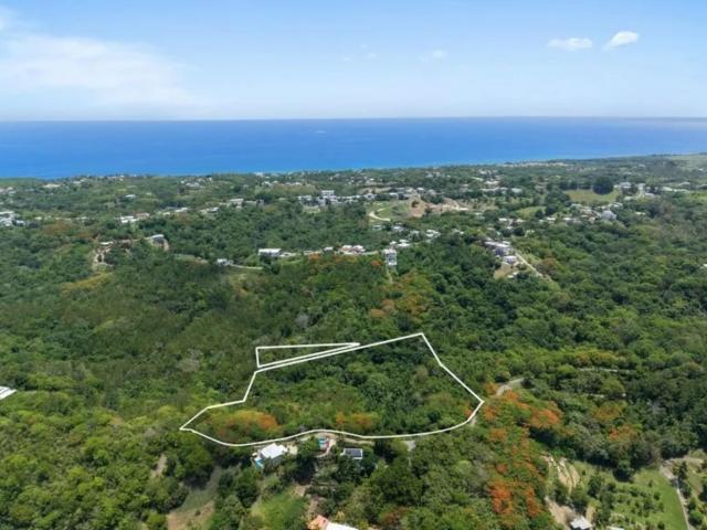 Investment Opportunity in Rincon