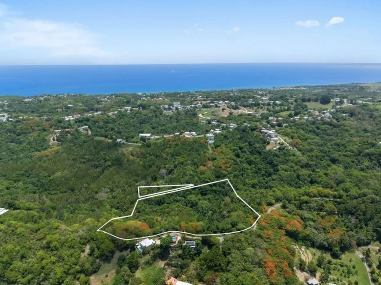 Investment Opportunity in Rincon