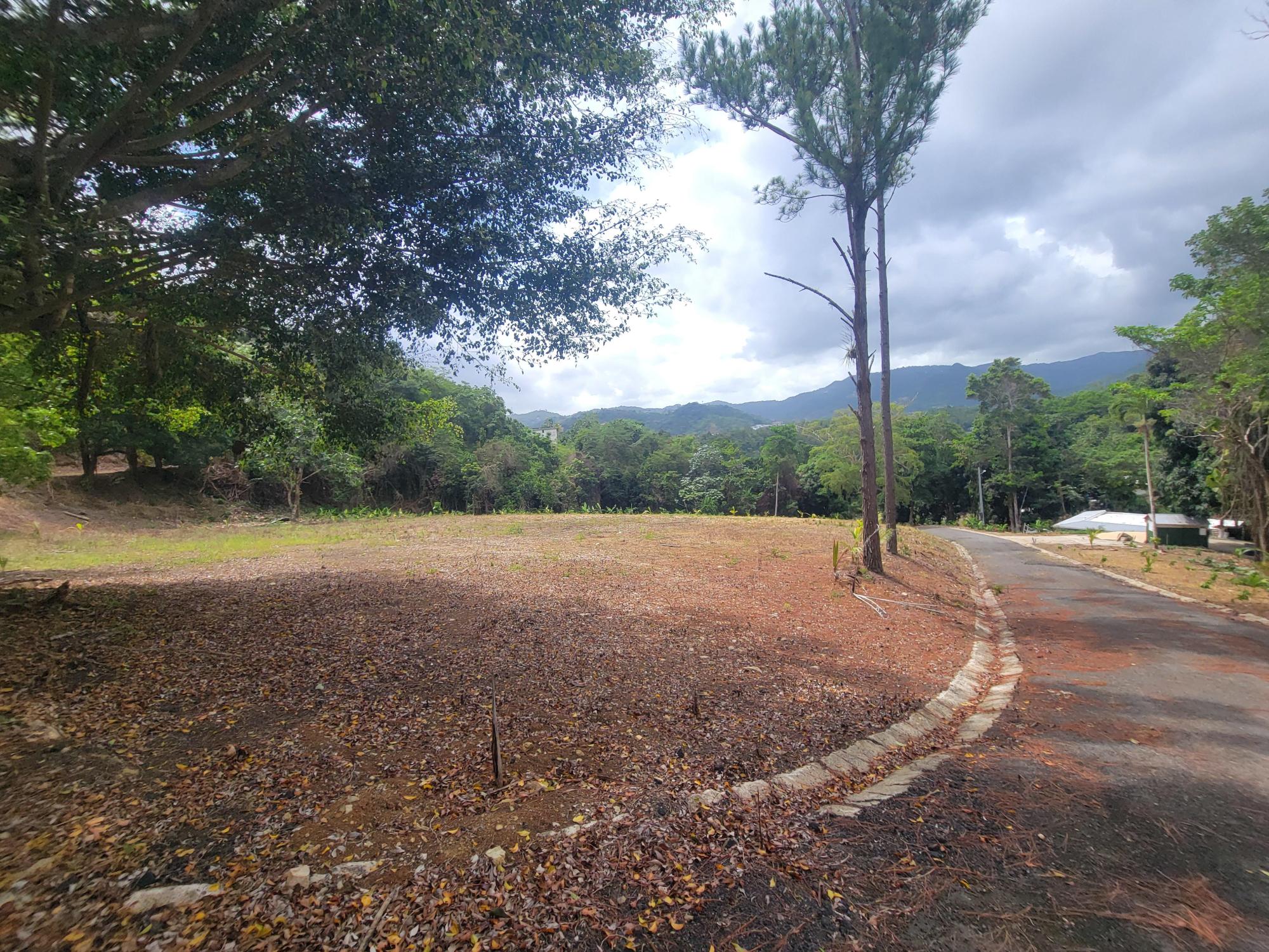 24.4-Acre Farm with Remodeled Residence