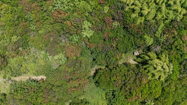 Premier Land Parcel in Rio Grande of 10 Acres