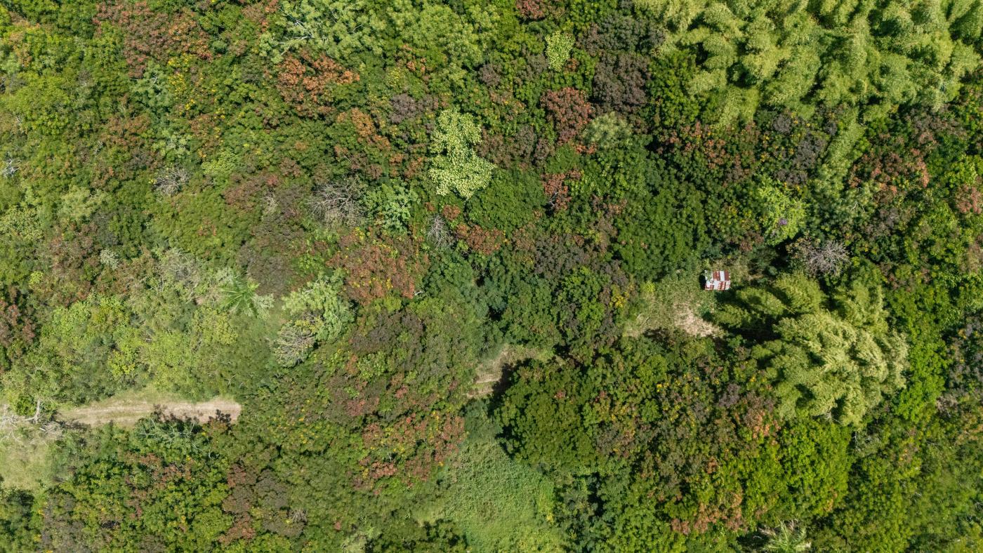 Premier Land Parcel in Rio Grande of 10 Acres