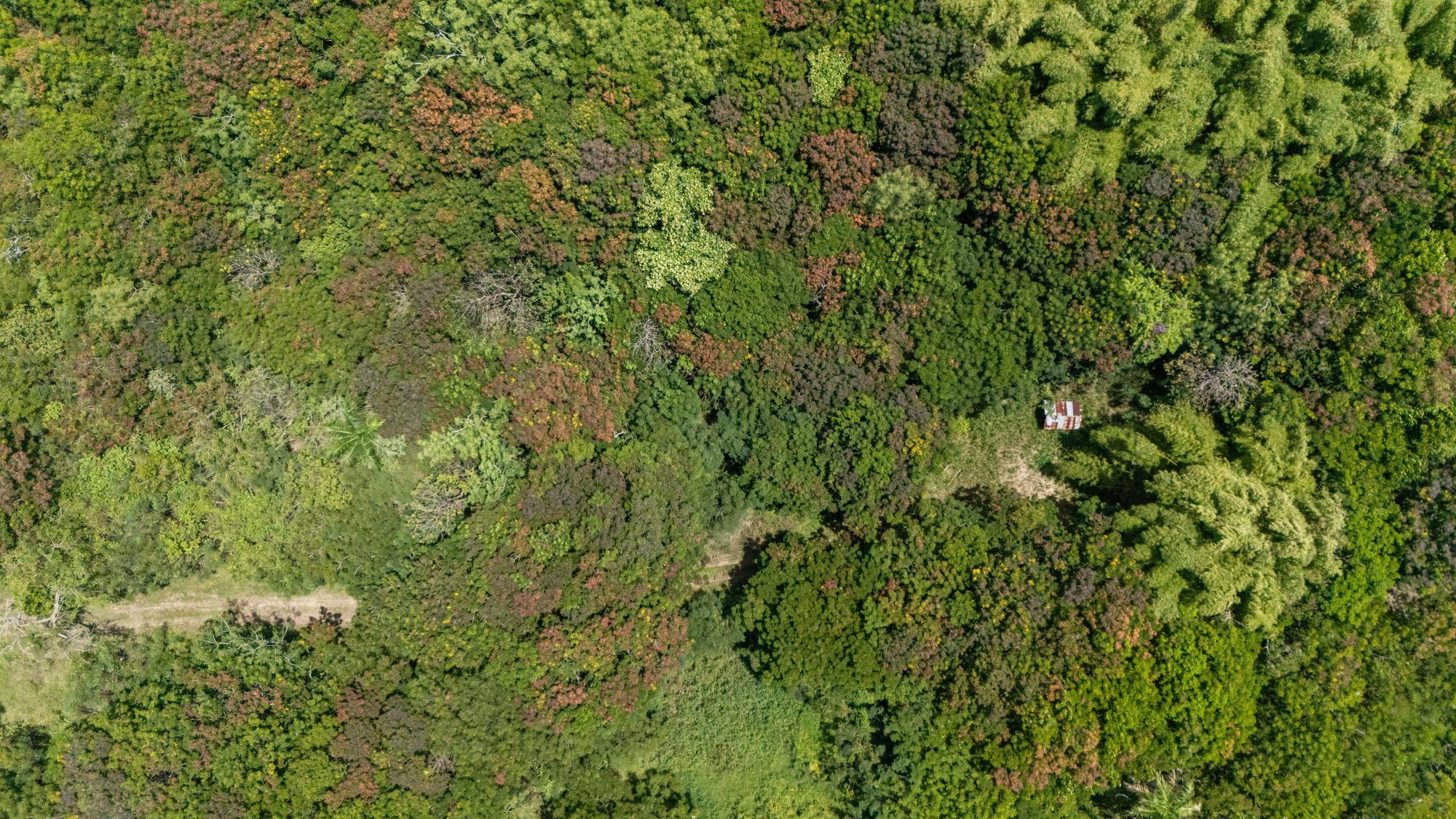 Premier Land Parcel in Rio Grande of 10 Acres