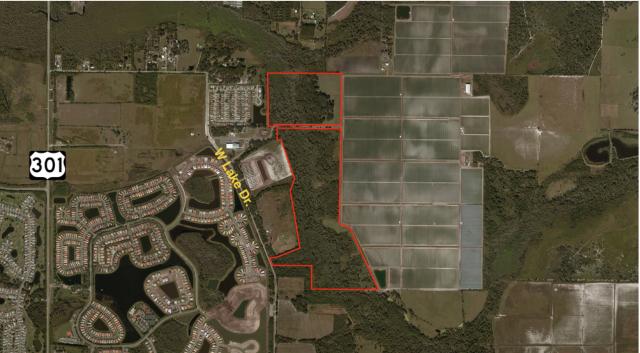 174.8+- ac Agricultural Land in Wimauma