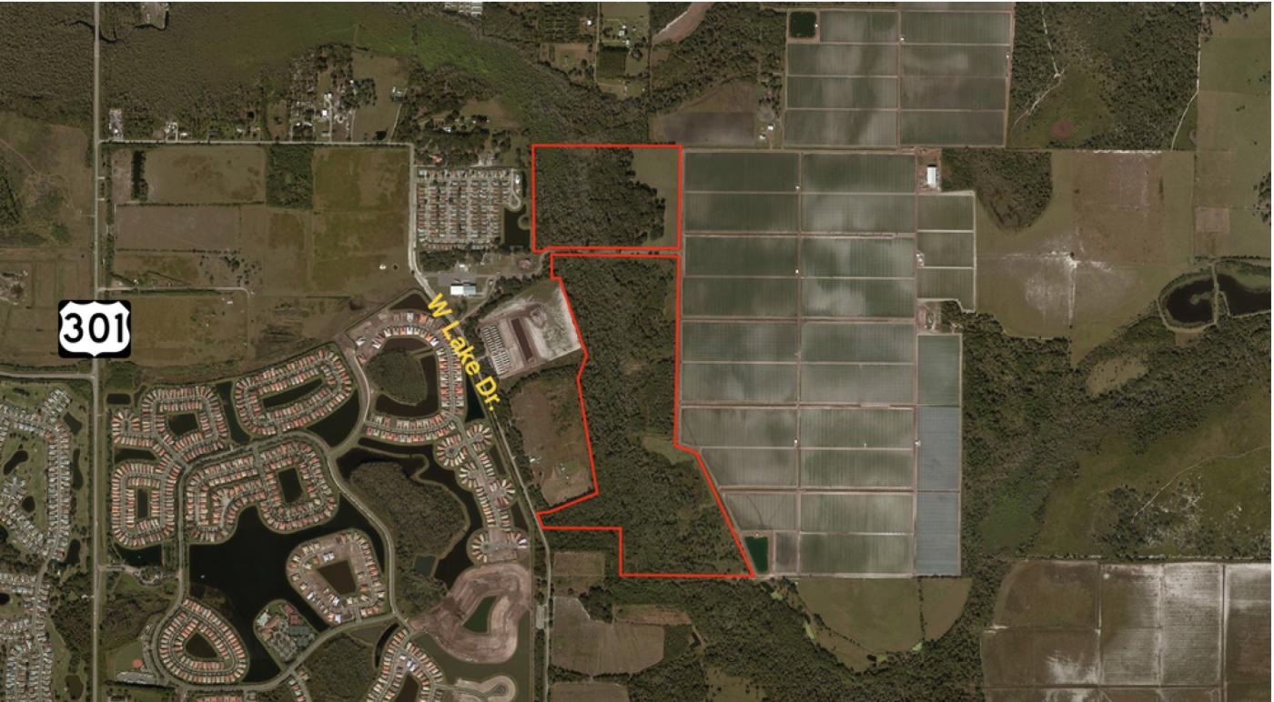 174.8+- ac Agricultural Land in Wimauma