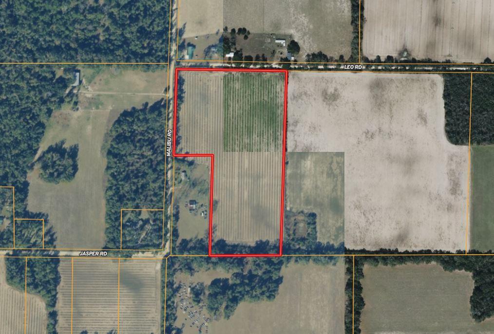 19± Acres Homesite or Hobby Farm Bascom, Fl