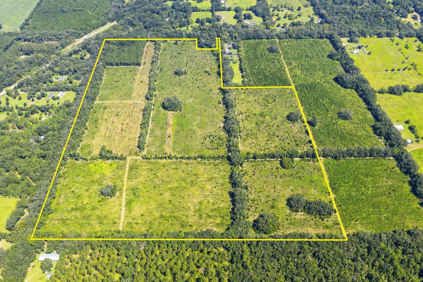 Alachua Estate Preserve - 109 Acres