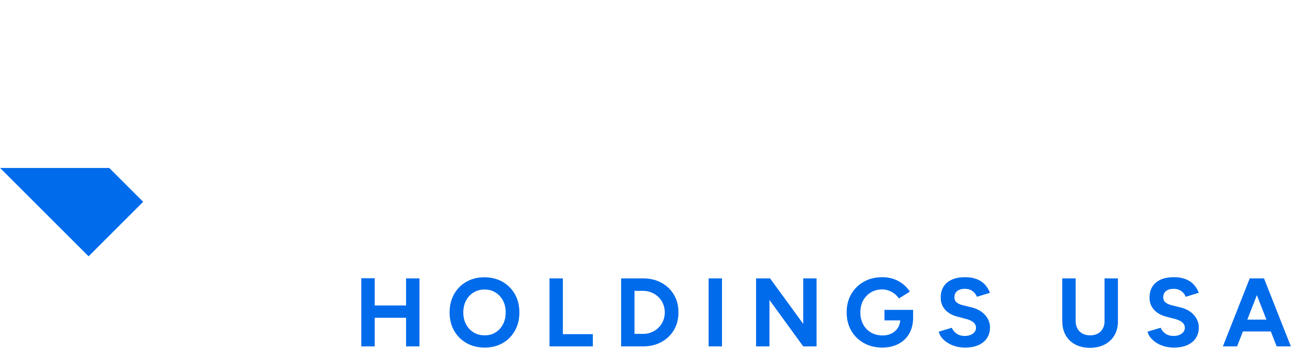 Daniel Levison, CCIM logo