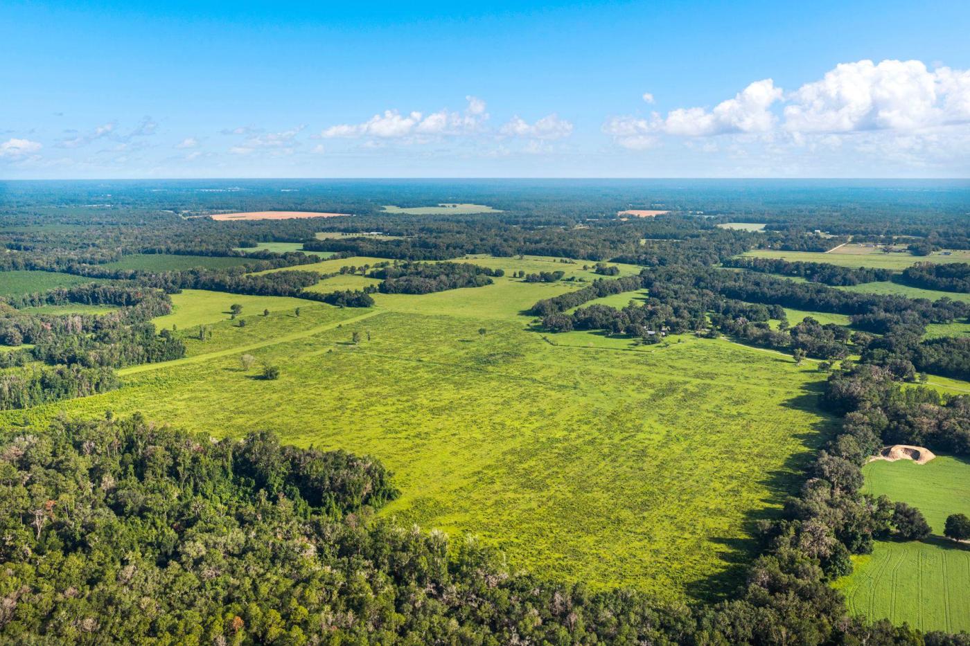 Alachua Hills Ranch