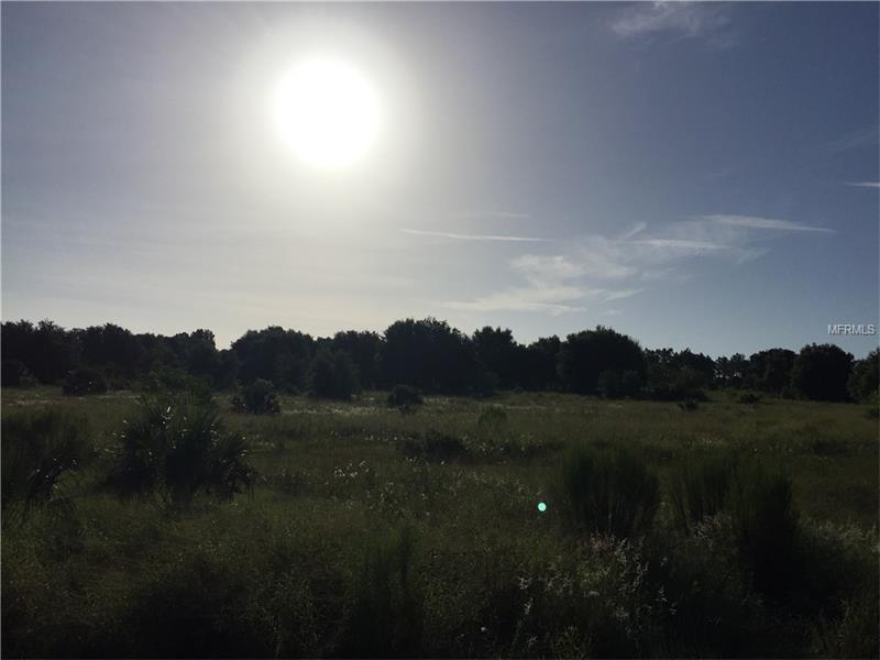 13 Acres - 4 Parcels High & Dry Yalaha, FL