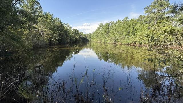 305.50 Acres Campbellton Land Development Op