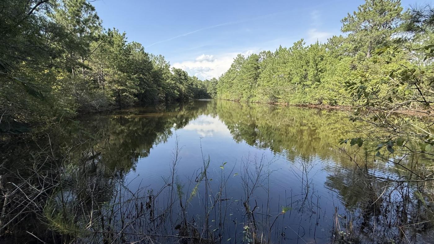 305.50 Acres Campbellton Land Development Op