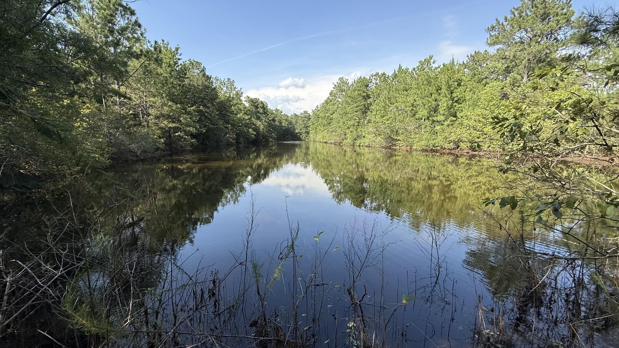 305.50 Acres Campbellton Land Development Op