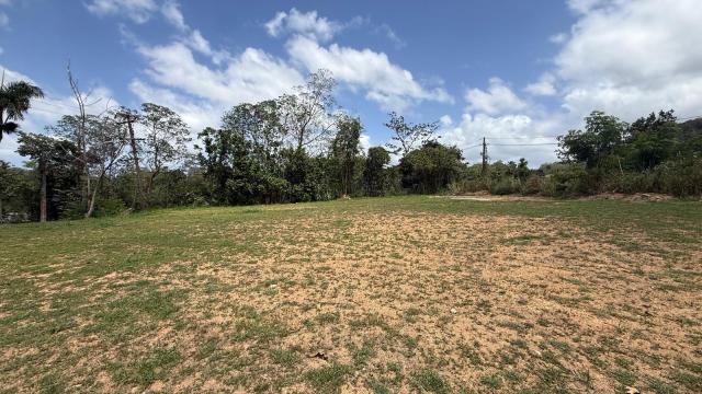 Vacant Land in Guaynabo (Bo. Mamey, La Muda)