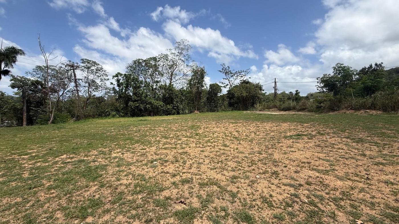 Vacant Land in Guaynabo (Bo. Mamey, La Muda)