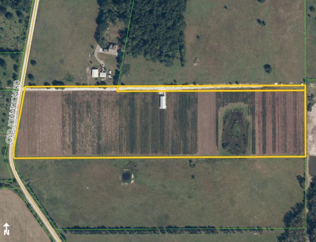 Pasco County FL Blueberry Farm 20 acres