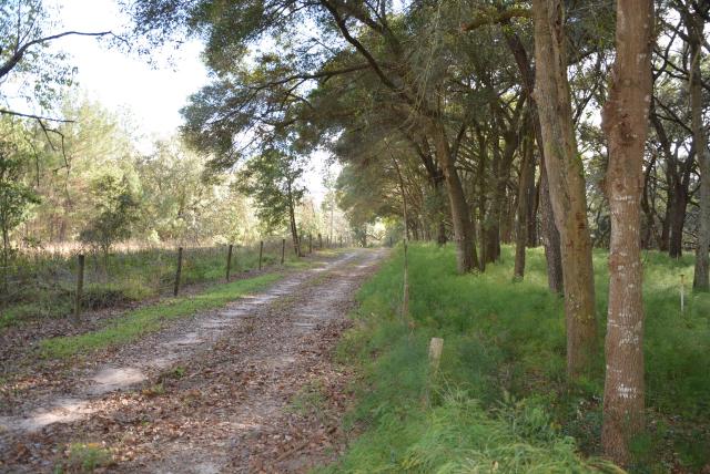 Under Appraised Value! Lovely 16 acre Fernery
