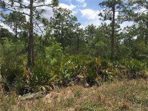 Orange County Apopka Commercial Land