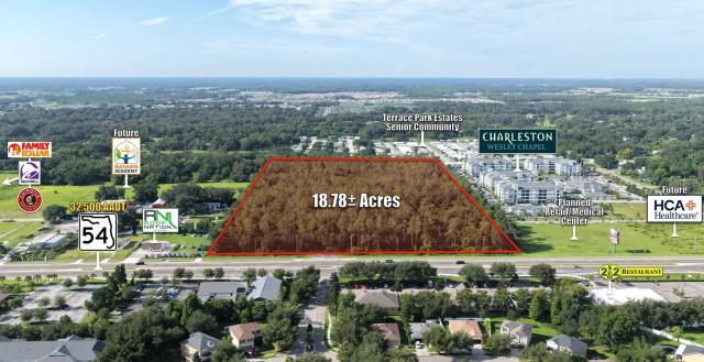 18.78 ac Zoned C2 CR 54 Wesley Chapel