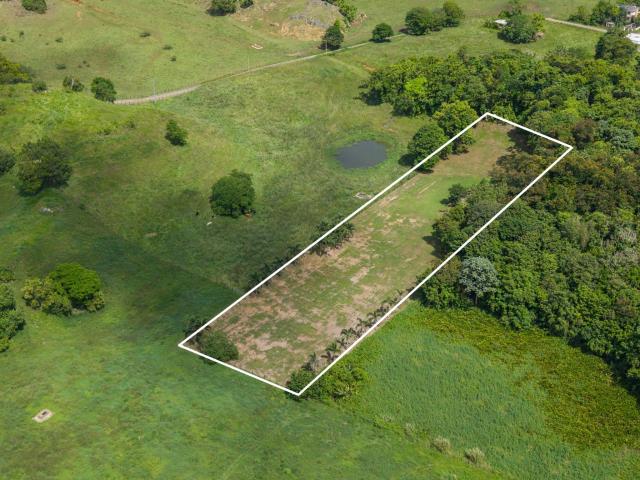 Prime Vacant Land in Arecibo of 1.50 Cuerdas