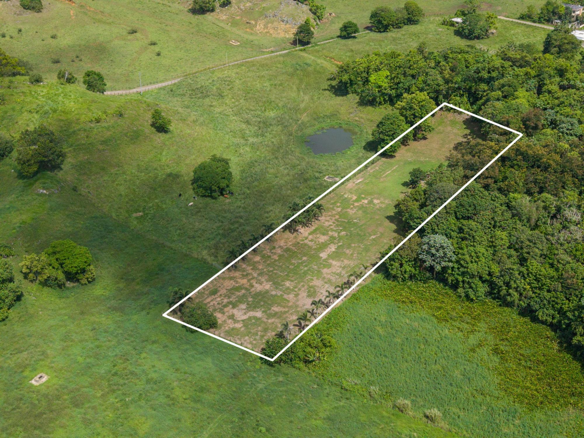 Prime Vacant Land in Arecibo of 1.50 Cuerdas