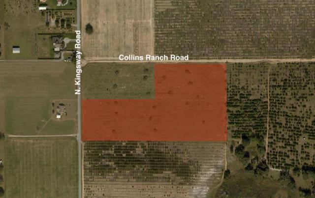 16.57+- ac Pasture Land in Thonotosassa