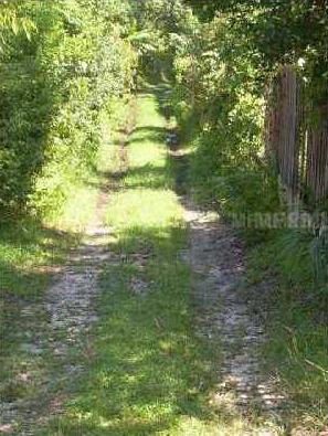 Vacant Residential Lot in Seminole County